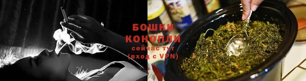 шишки Грязовец