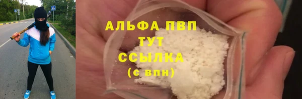 стаф Губаха