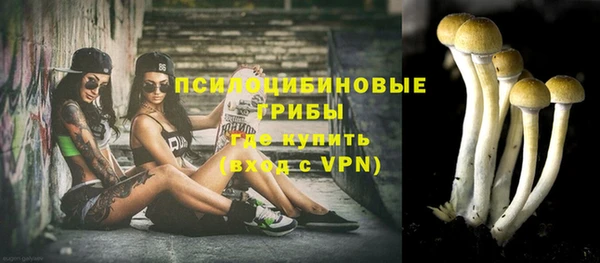 ALPHA PVP Алексеевка