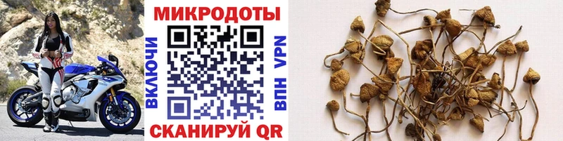где продают Белоярский Псилоцибиновые грибы Magic Shrooms